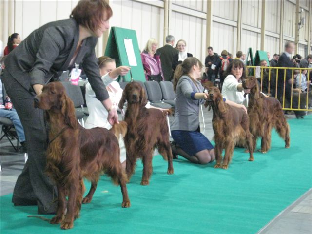 Wojciech Chmielewski
