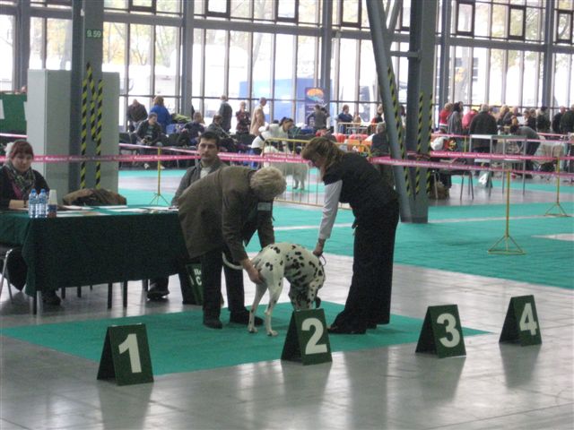 Wojciech Chmielewski