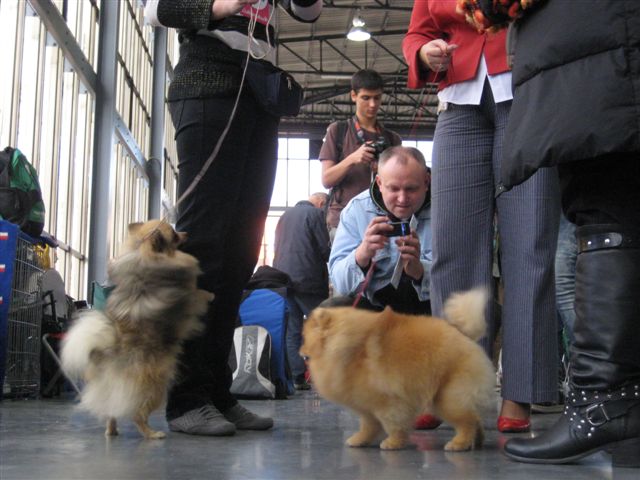 Wojciech Chmielewski