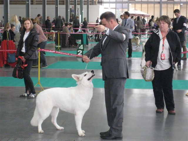 Wojciech Chmielewski