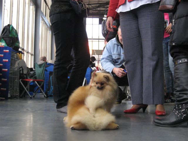 Wojciech Chmielewski