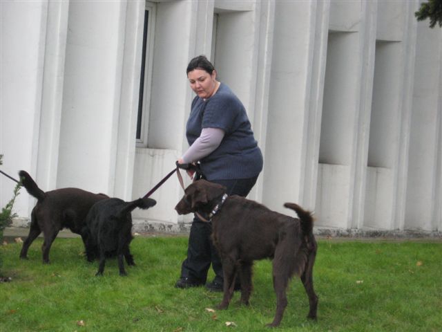 Wojciech Chmielewski