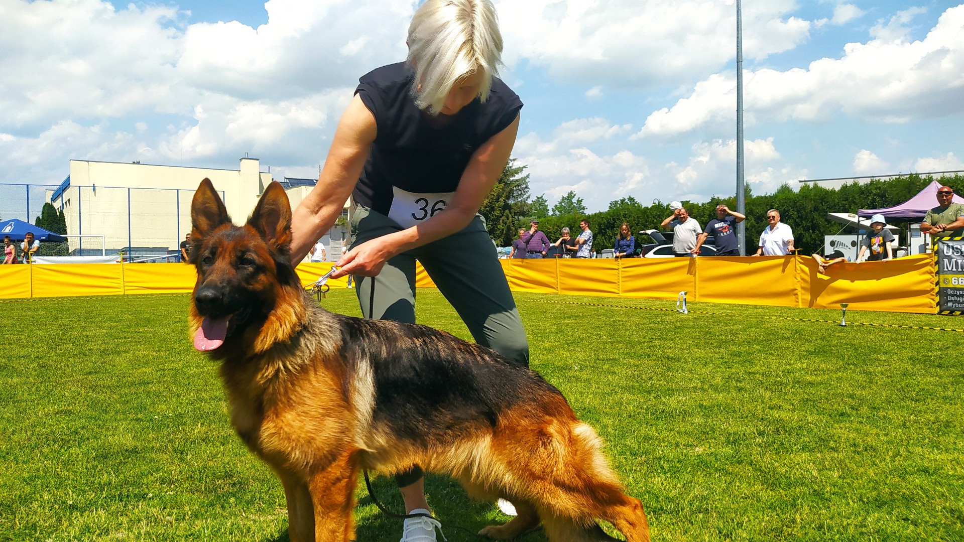Wystawa owczarków niemieckich w Kleczewie - Sławomir Zasadzki