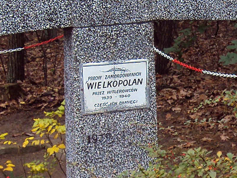 Groby Zakrzewskie 6 - Groby Zakrzewskie, Od 11.1939r. do 1945r. na leśnym obszarze koło miejscowości Zakrzewo odbywały się masowe egzekucje polskich obywateli/fot. uczniowie SP im.A.Lindgren w Dąbrowie