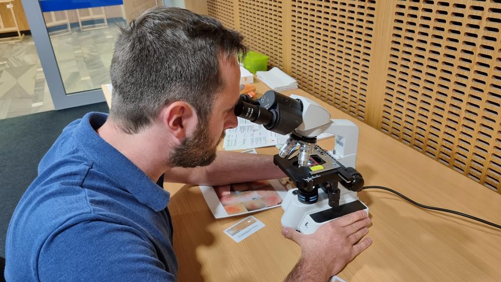 borelioza kleszcze mikroskop - Magdalena Konieczna 