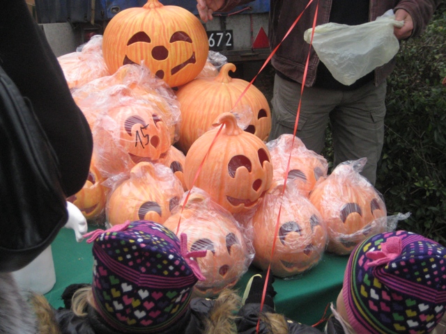 Rolnicza jesien 2 - Rafał Regulski