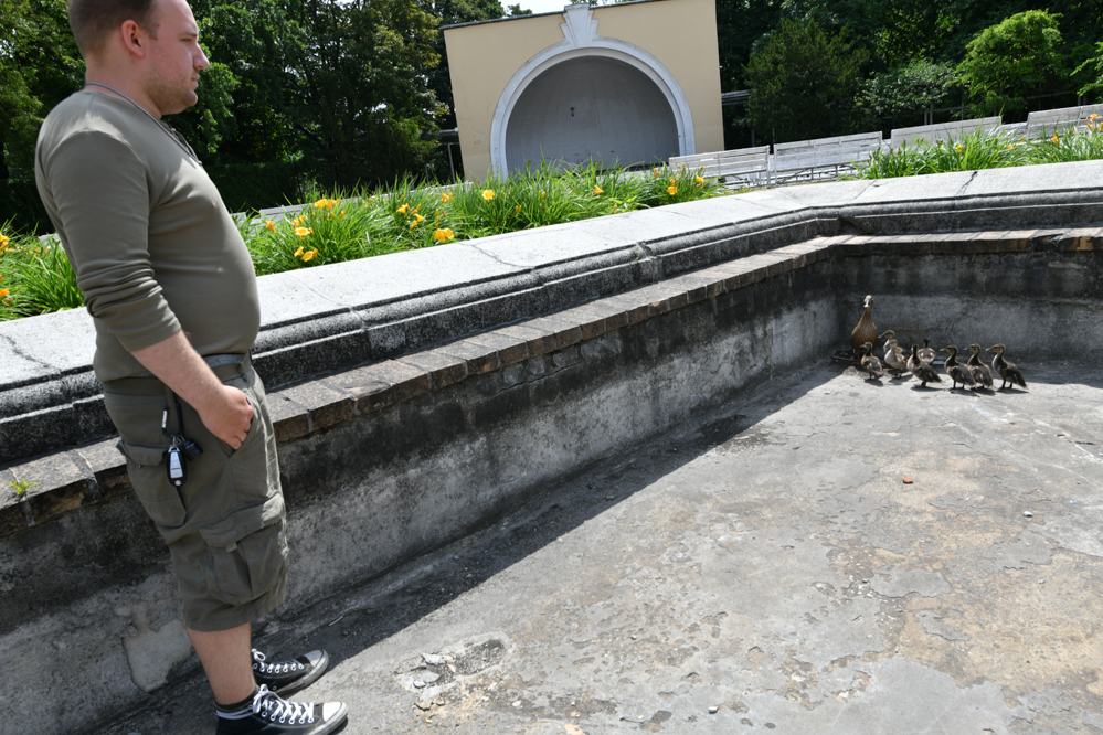 kaczki park wilsona - Wojtek Wardejn - Radio Poznań