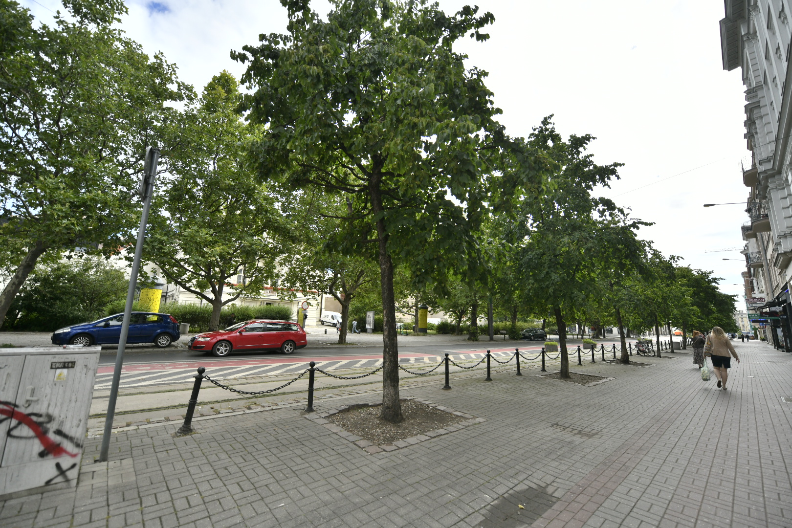 drzewa leszczyny 27 grudnia wycinka - Wojtek Wardejn - Radio Poznań