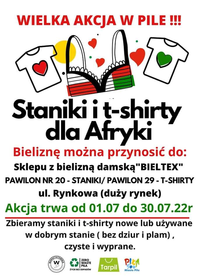 staniki piła - Organizator