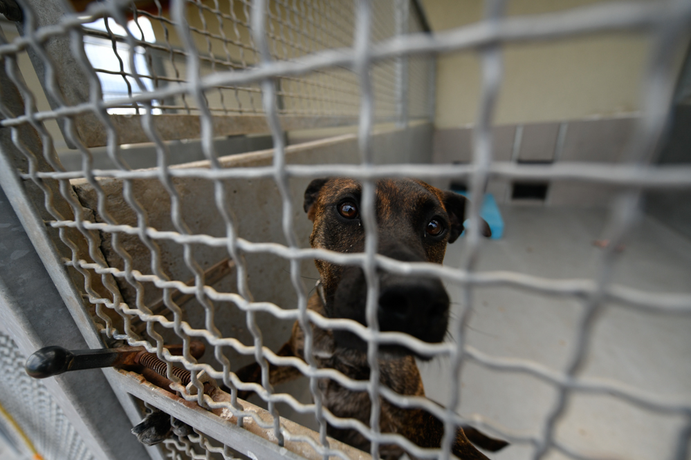 schronisko skałowo schronisko w skałowie  - Wojtek Wardejn - Radio Poznań