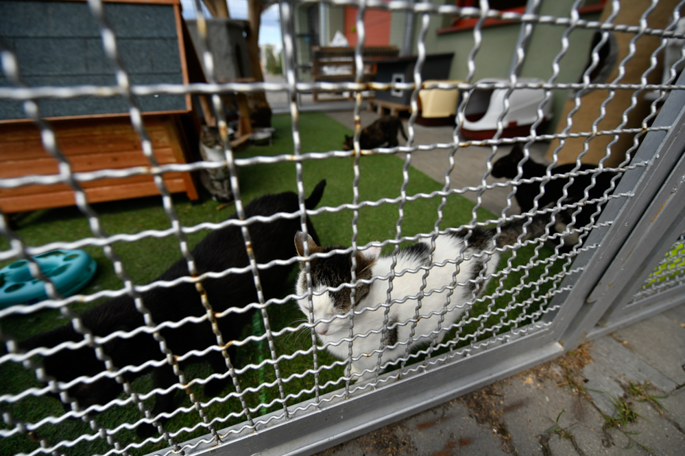 schronisko skałowo schronisko w skałowie  - Wojtek Wardejn - Radio Poznań