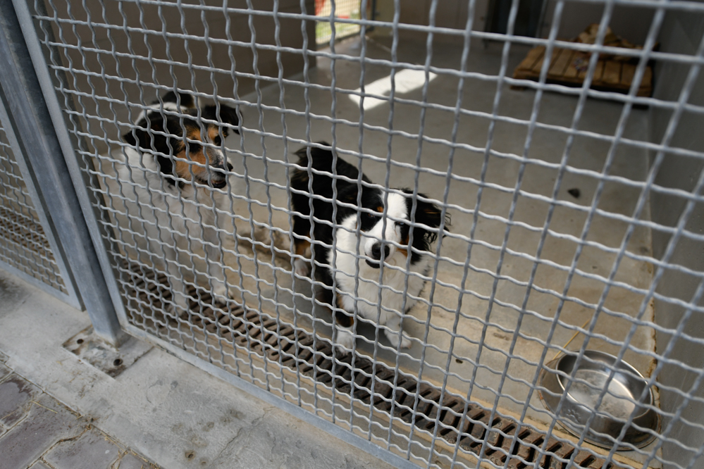 schronisko skałowo schronisko w skałowie  - Wojtek Wardejn - Radio Poznań