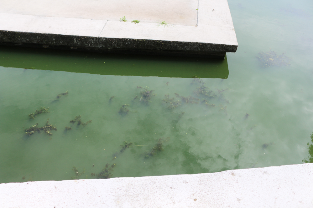 sinice nad maltą - Leon Bielewicz  - Radio Poznań