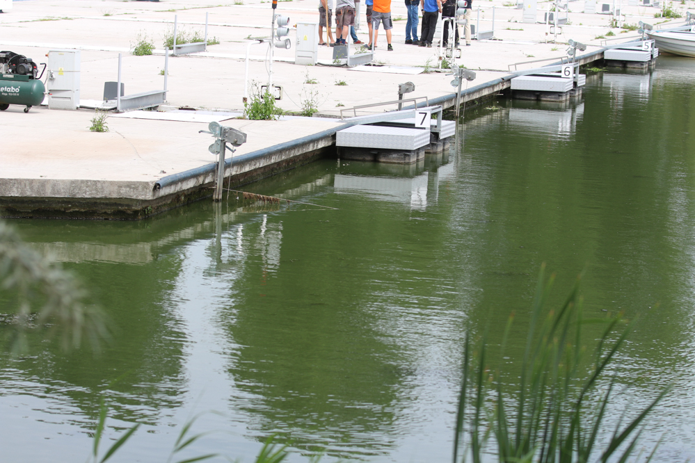 sinice nad maltą - Leon Bielewicz  - Radio Poznań