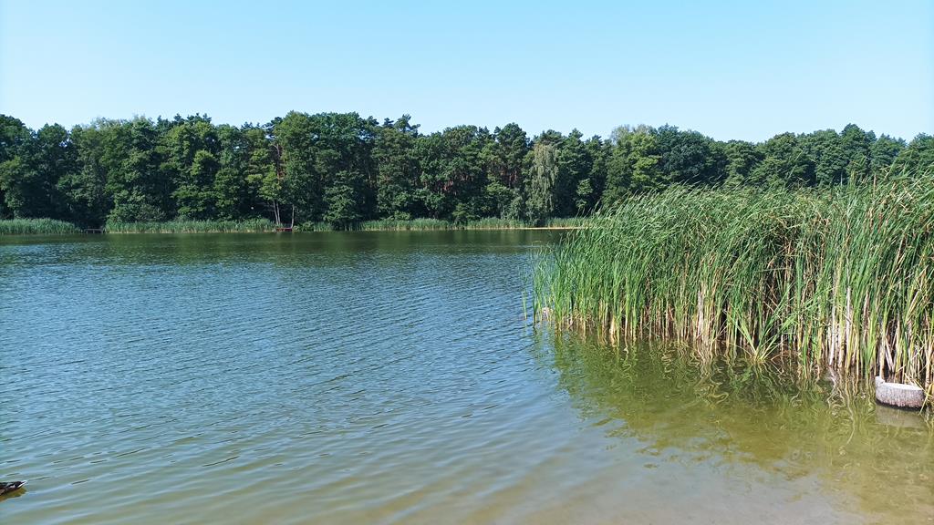 wielkopolska dla ciebie zaniemyśl plaża jezioro raczyńskie - Leon Bielewicz  - Radio Poznań