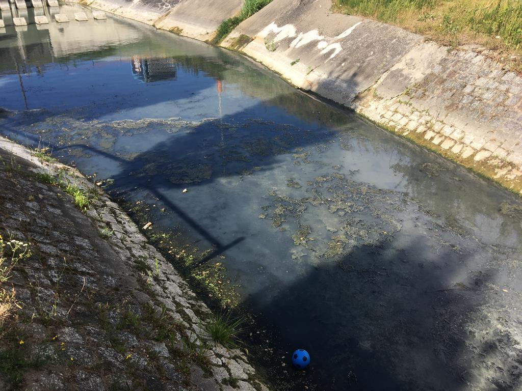 moskawa środa wielkopolska - Rafał Regulski