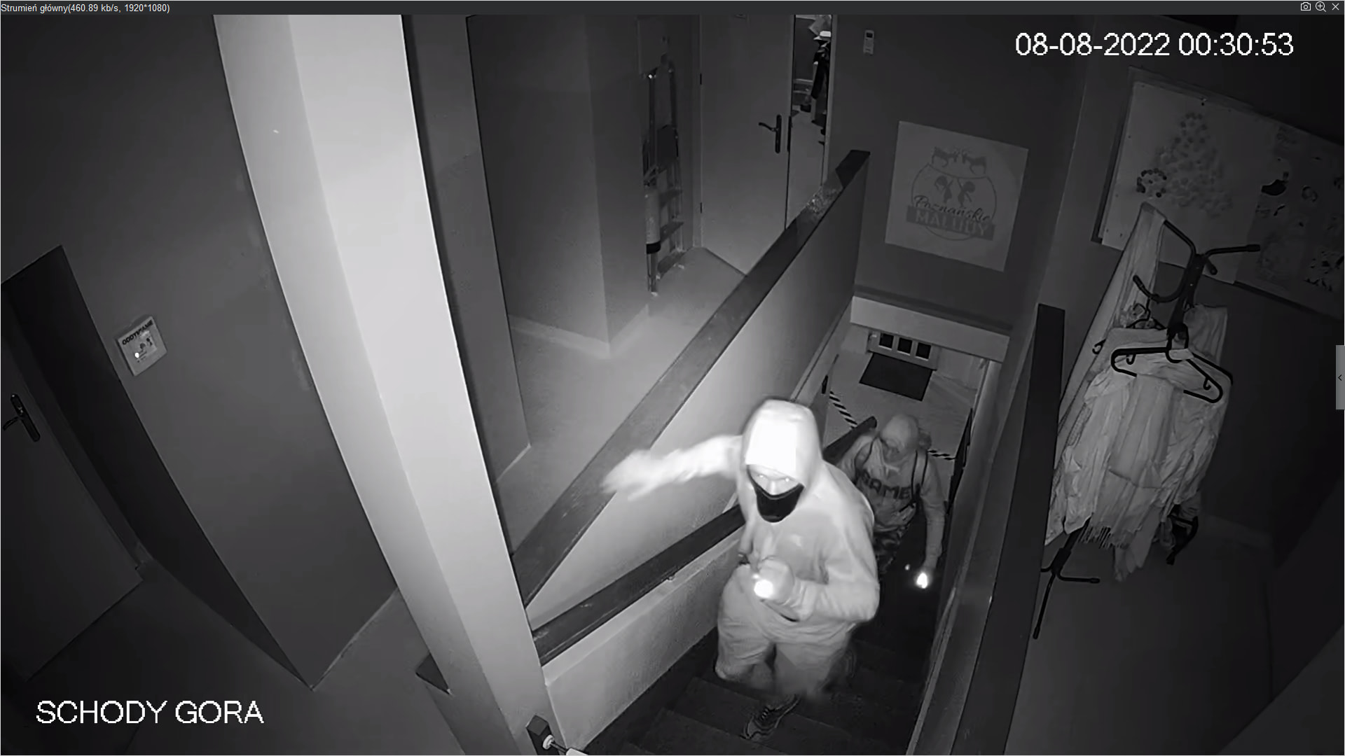 Niepubliczne Przedszkole i Żłobek Poznańskie Maludy złodzieje - Niepubliczne Przedszkole i Żłobek Poznańskie Maludy