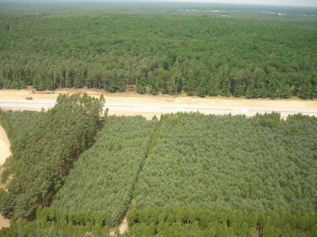 Autostrada A2 w budowie - z góry  - Krzysztof Sadowski