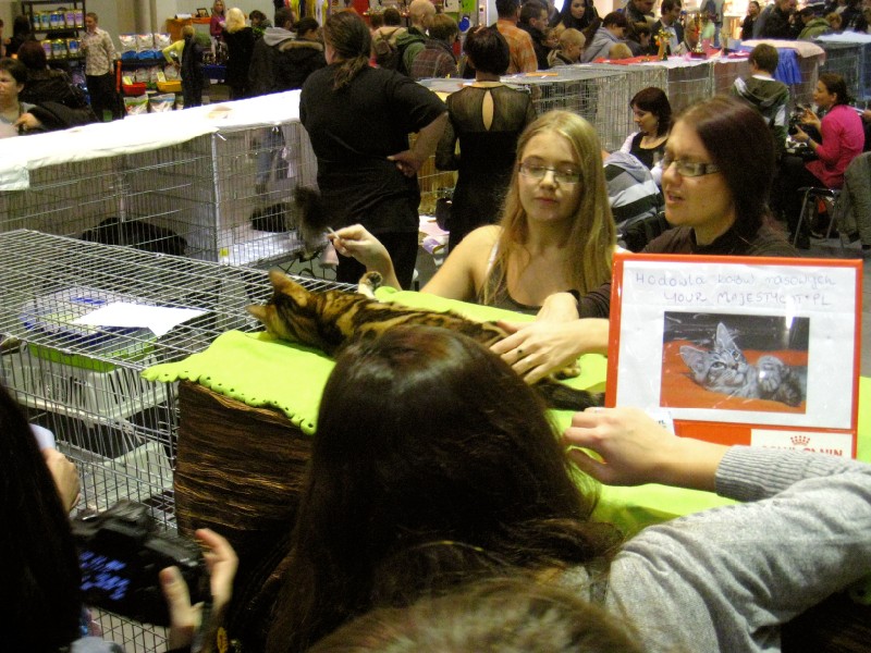 Agnieszka Maciejewska