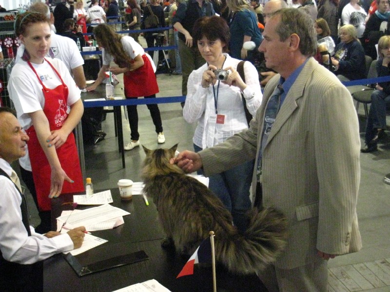 Agnieszka Maciejewska