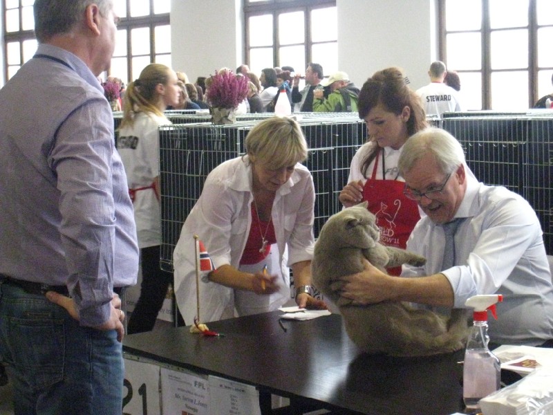 Agnieszka Maciejewska