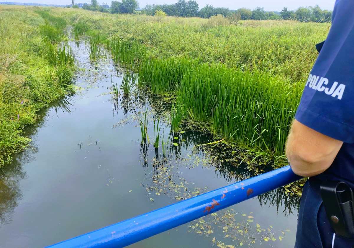 rzeka barycz ostrów - KPP Ostrów Wlkp