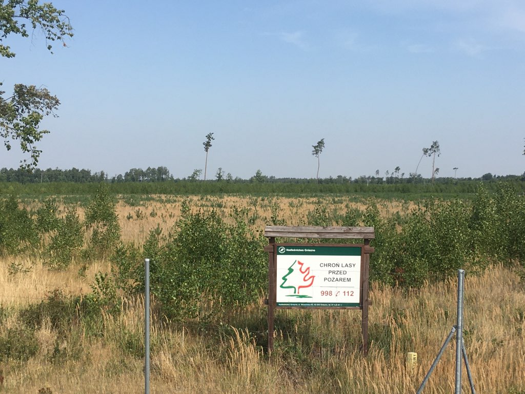 wichura stulecia gniezno - Rafał Muniak - Radio Poznań