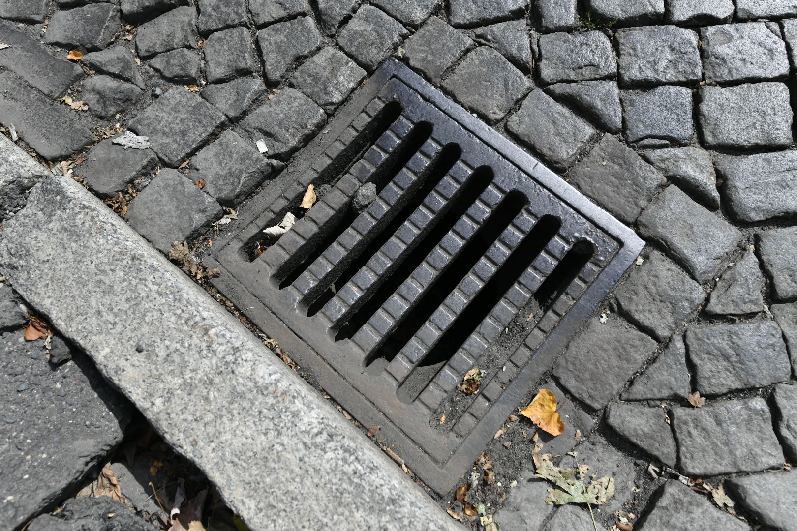 studzienka kanalizacyjna - Wojtek Wardejn - Radio Poznań