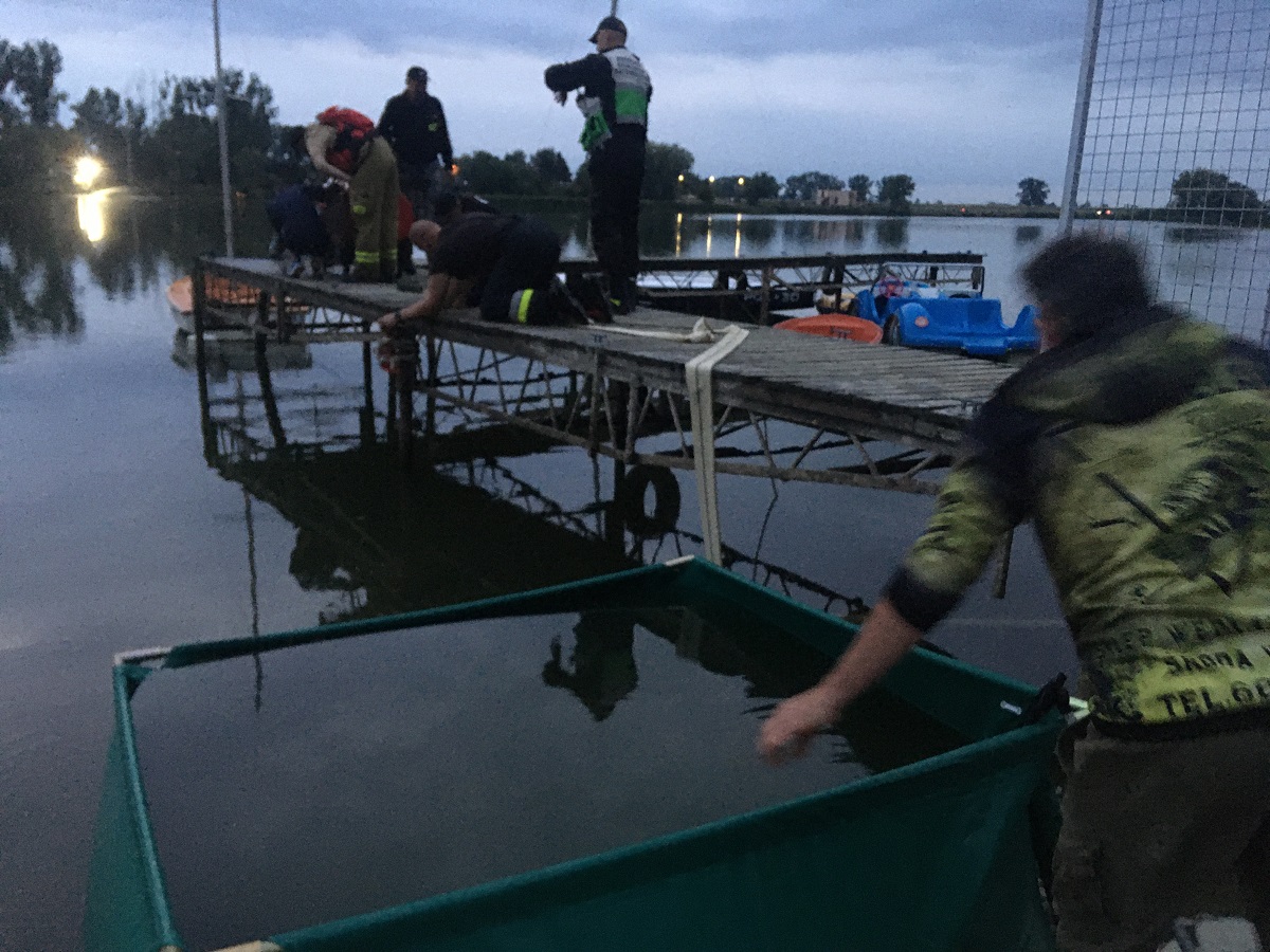 ryby jezioro śniete środa - Rafał Regulski