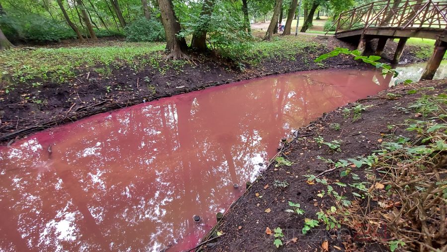 różowa woda gniezno  - gniezno24.com