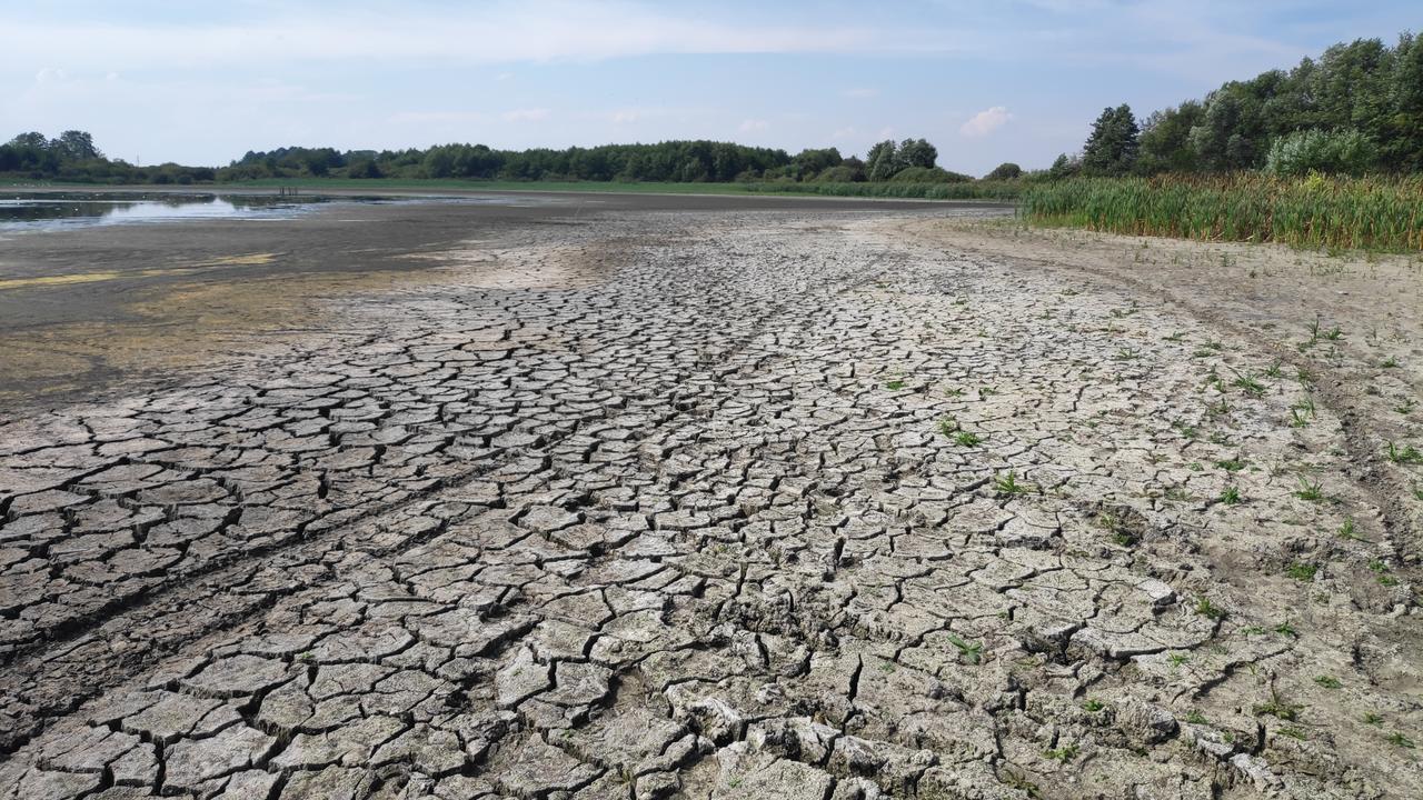 wyschło jezioro Skrzatusz - Przemysław Stochaj - Radio Poznań