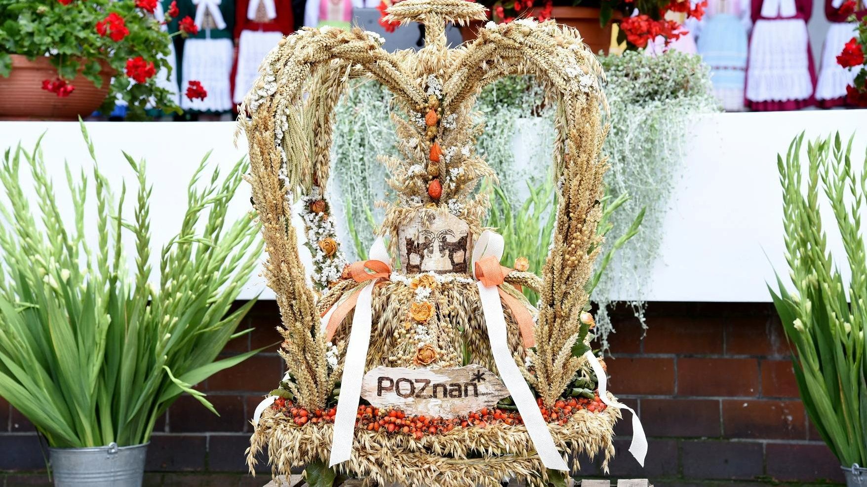 miejskie dożynki poznań - UMP