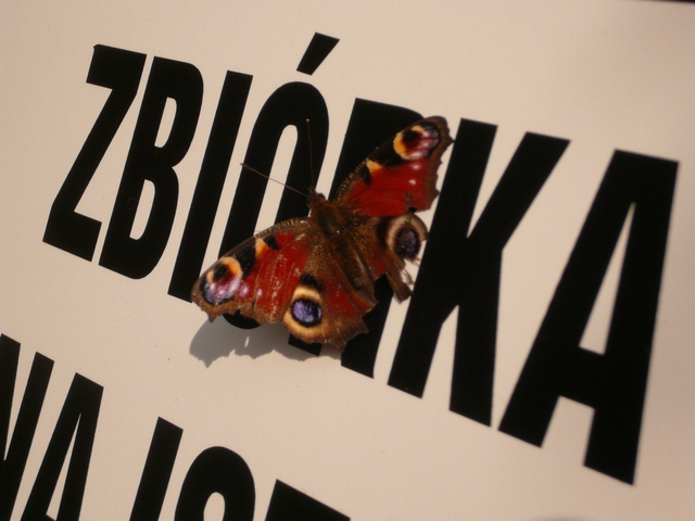 Zbiórka na Rossę - 2011 - Piotr Niewiarowski