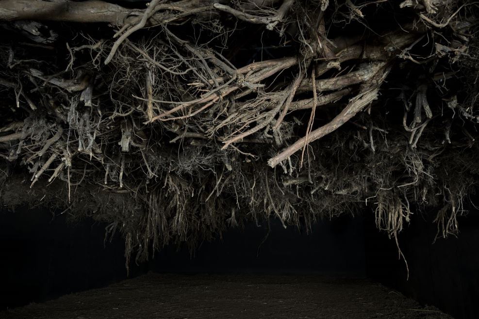 Widok wystawy Joanny Rajkowskiej "Rhizopolis", 01.02 – 08.08.2021, fot. Jędrzej Sokołowski, archiwum Zachęty – Narodowej Galerii Sztuki