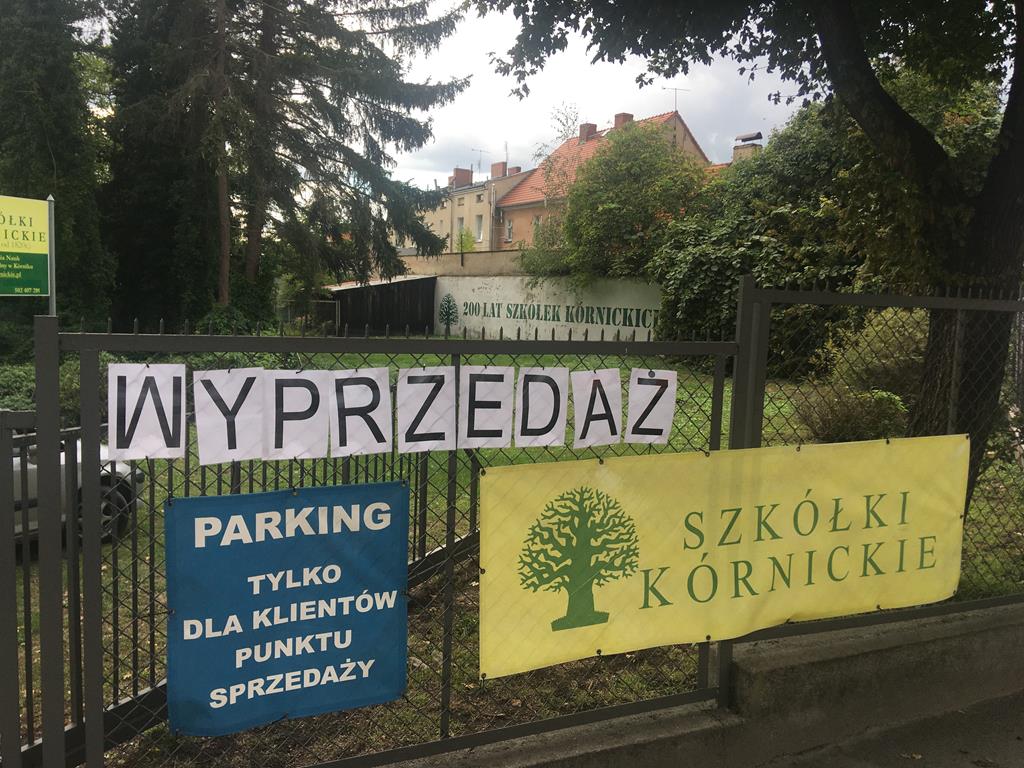 Szkółki Kórnickie kończą działalność - Rafał Regulski