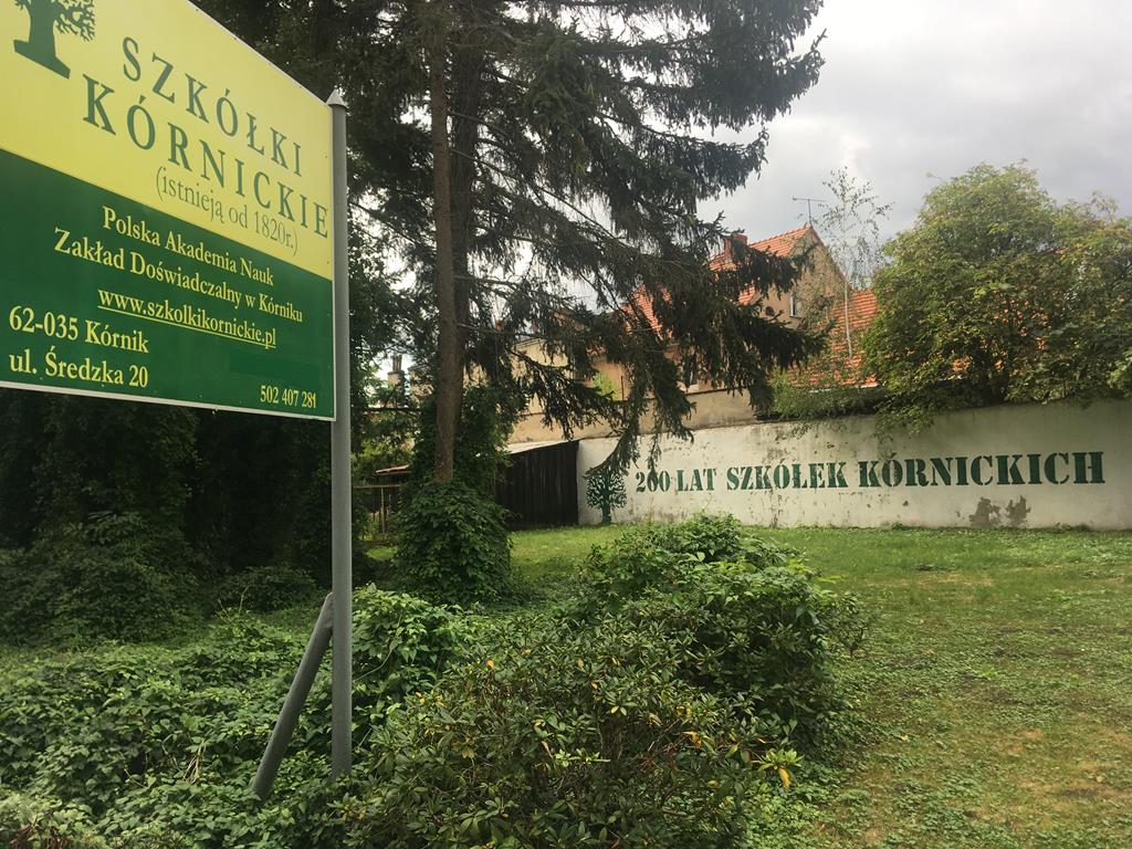 Szkółki Kórnickie kończą działalność - Rafał Regulski