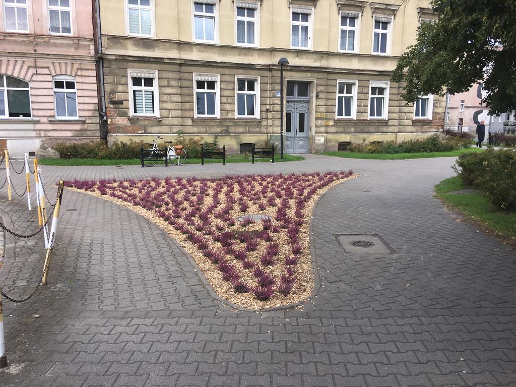 Skwer Leszczyńskich Seniorów - Jacek Marciniak