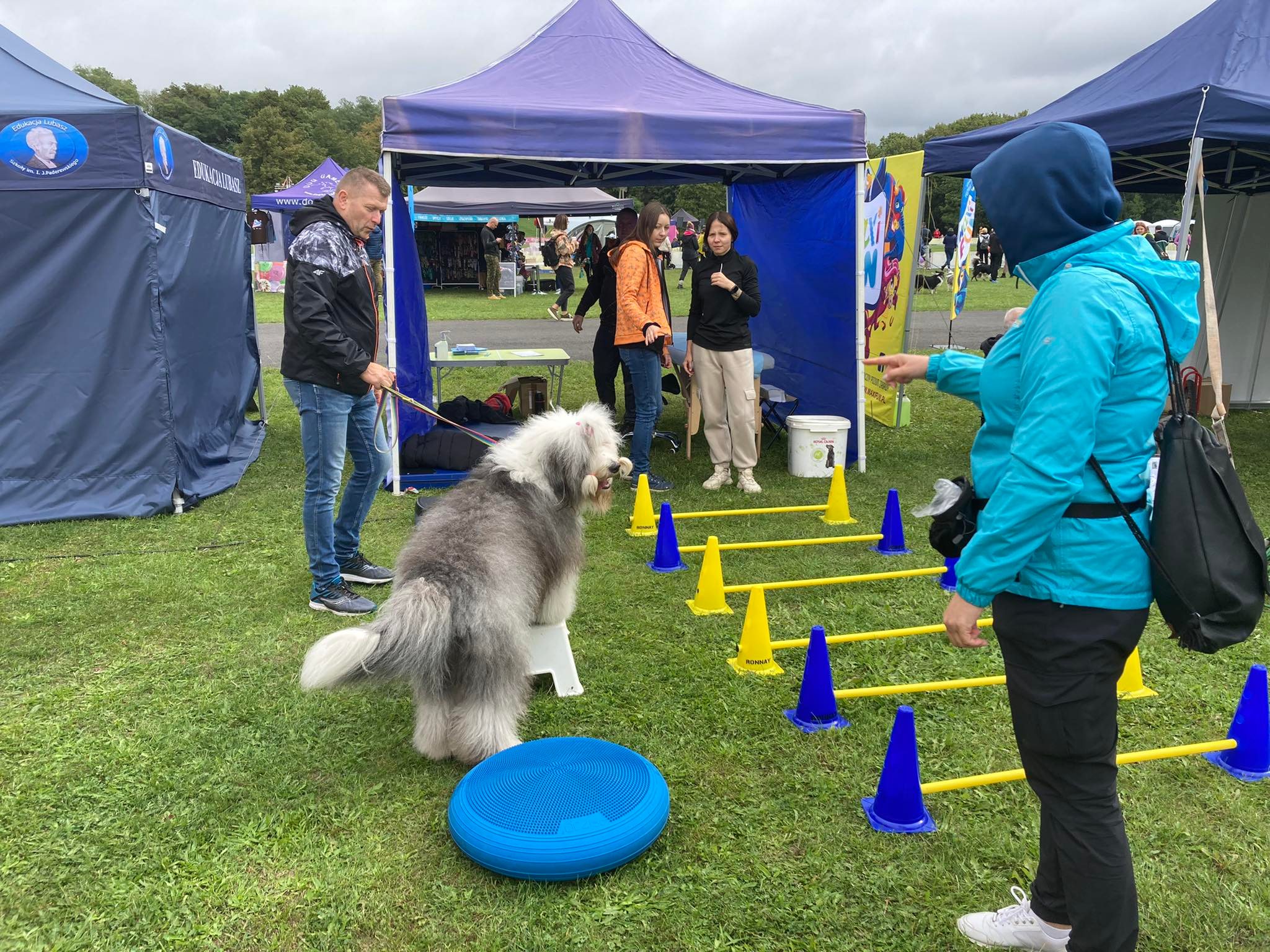 psy cytadela dogfrisbee - Adam Michalkiewicz - Radio Poznań