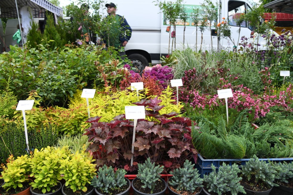 Jesienne Targi Rolno-Ogrodnicze Agromarsz 2022 - Organizator