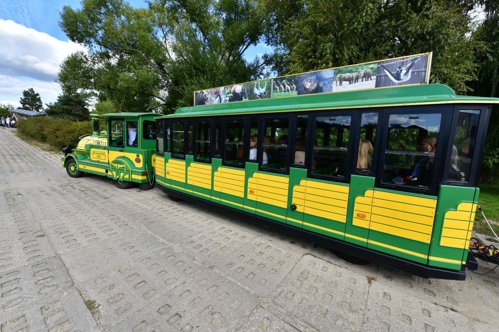 radni w zoo - Wojtek Wardejn