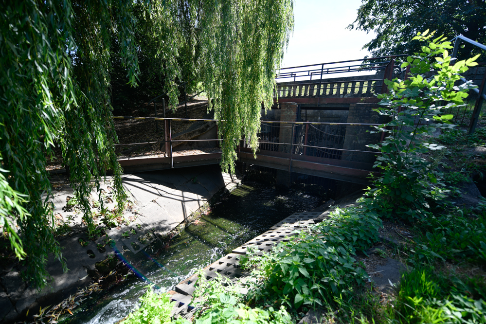 kolektor bogdanka - Wojtek Wardejn - Radio Poznań