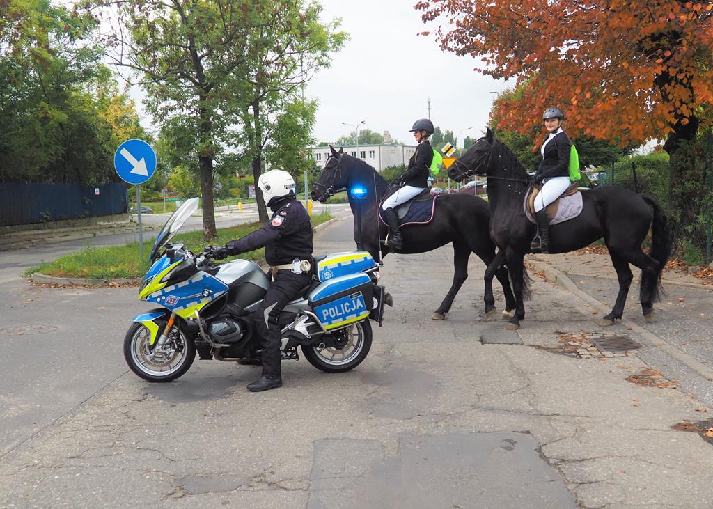 pocztylion konny gniezno urodziny józefa wybickiego - Urząd Gminy Gniezno