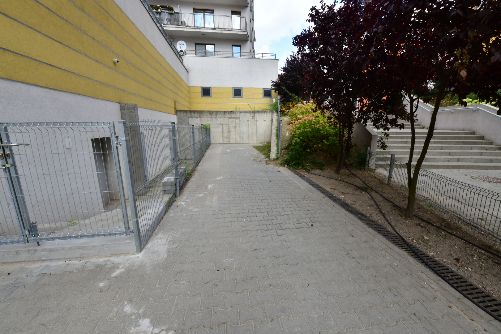 Pierwszy z nielegalnych paczkomatów zniknął z centrum Poznania - Wojtek Wardejn - Radio Poznań