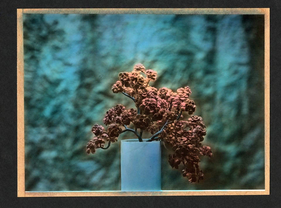 Jerzy Sieczkowski - Mistrz - Organizator