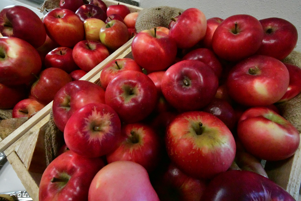 jabłka - Wojtek Wardejn - Radio Poznań