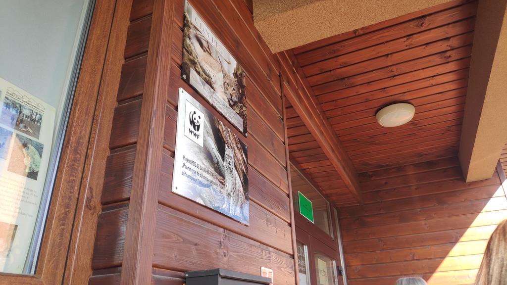 rysie wielkopolska - Przemysław Stochaj