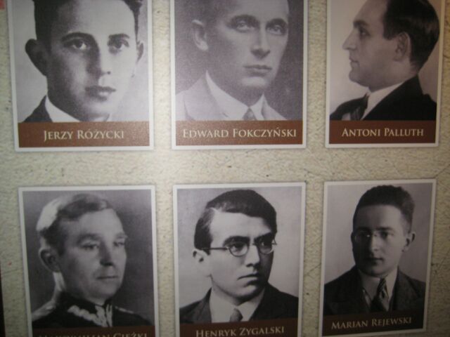 enigma fotografia - Jacek Butlewski