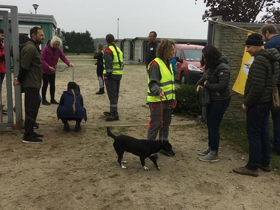 Bieg + 4 łapy - Jacek Marciniak