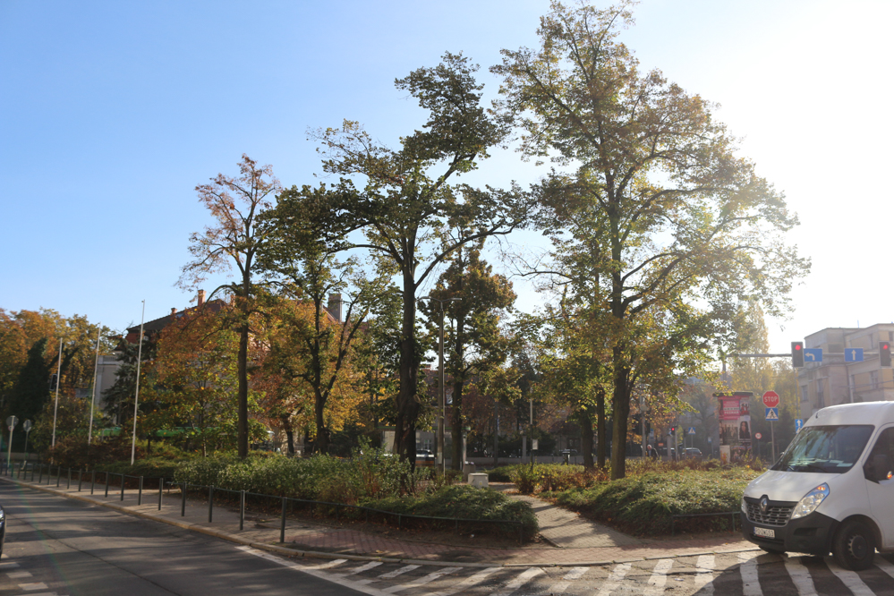 skwer ferdinanda focha - Leon Bielewicz  - Radio Poznań