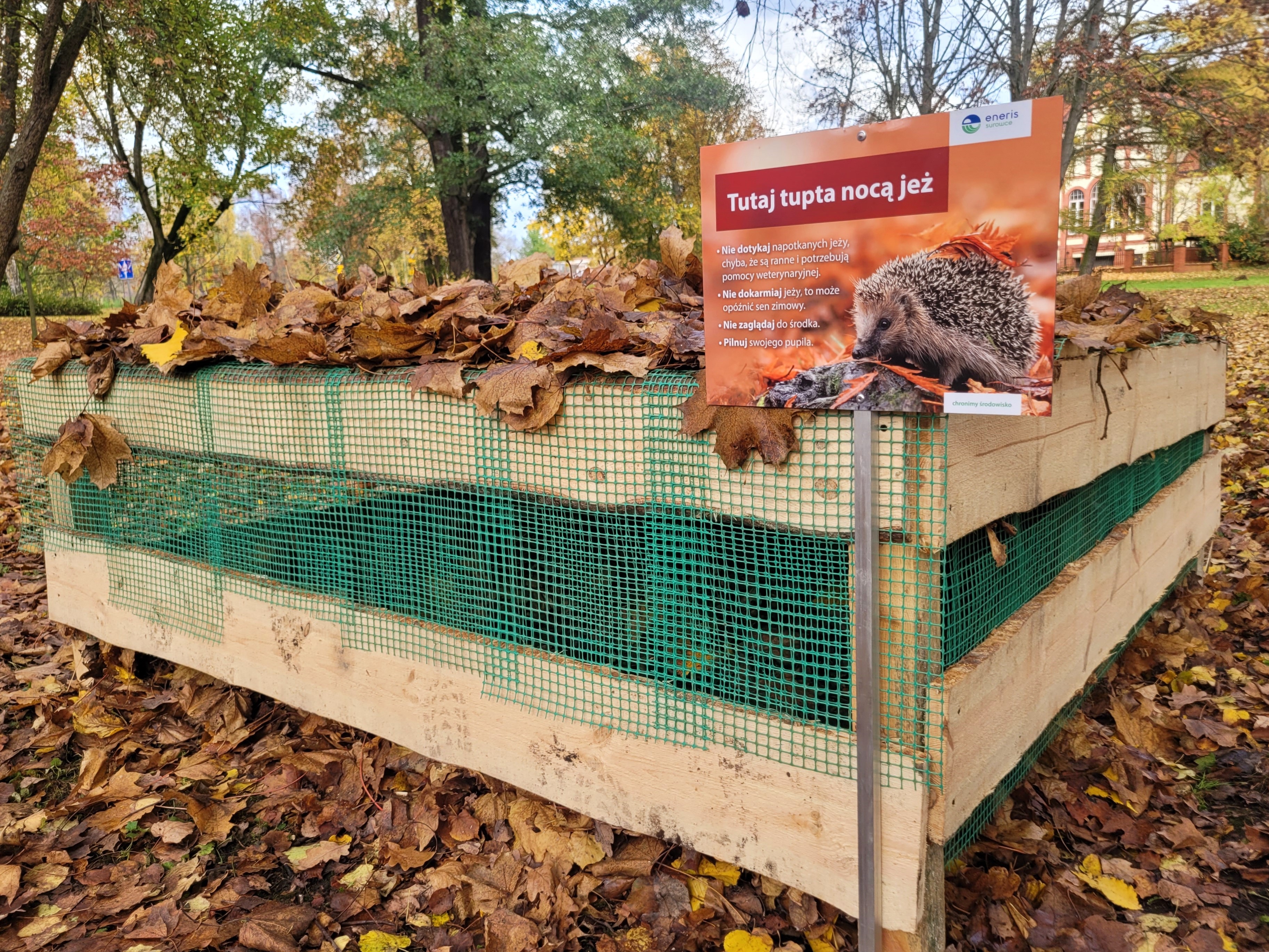 dom dla jeży piła - UM Piła